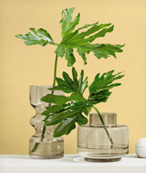 합지벽지 이미지