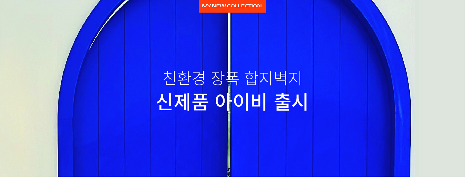 2023 신제품 아이비 출시